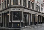 The Ivy